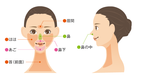 【女性】顔パーツ