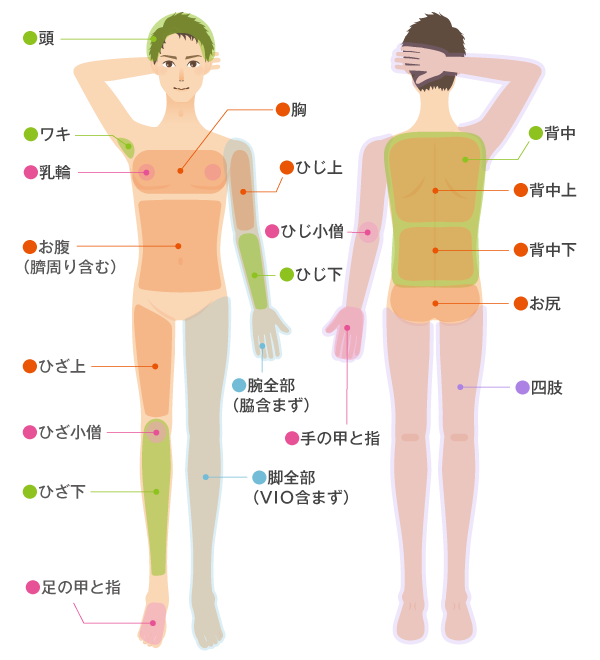 【男性】体パーツ