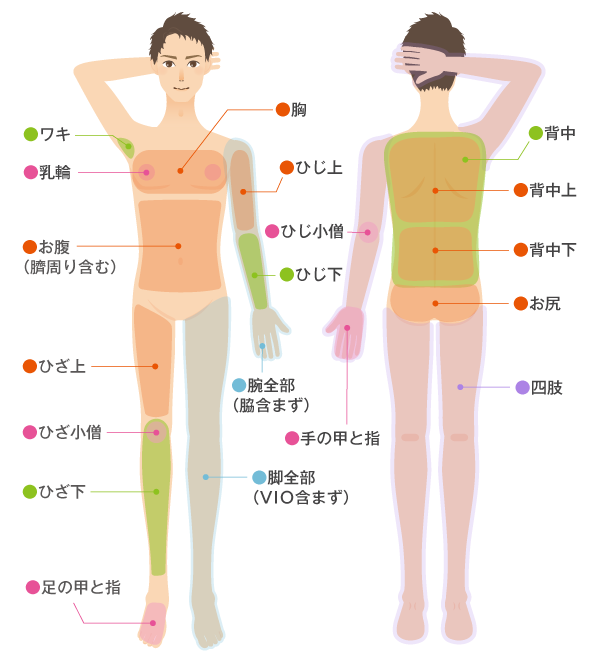 【男性】体パーツ