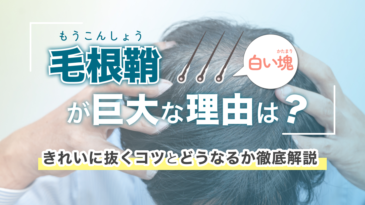 毛根鞘 (白い塊) が巨大な理由は?きれいに抜くコツと抜くとどうなるか徹底解説