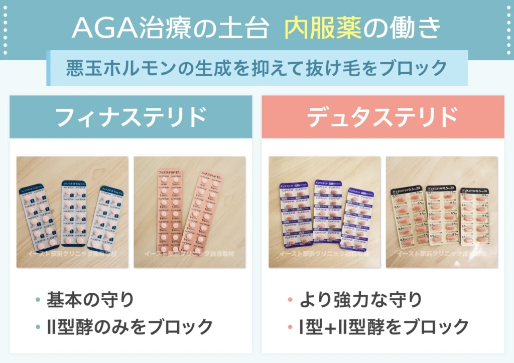 フィナステリド・デュタステリドの役割