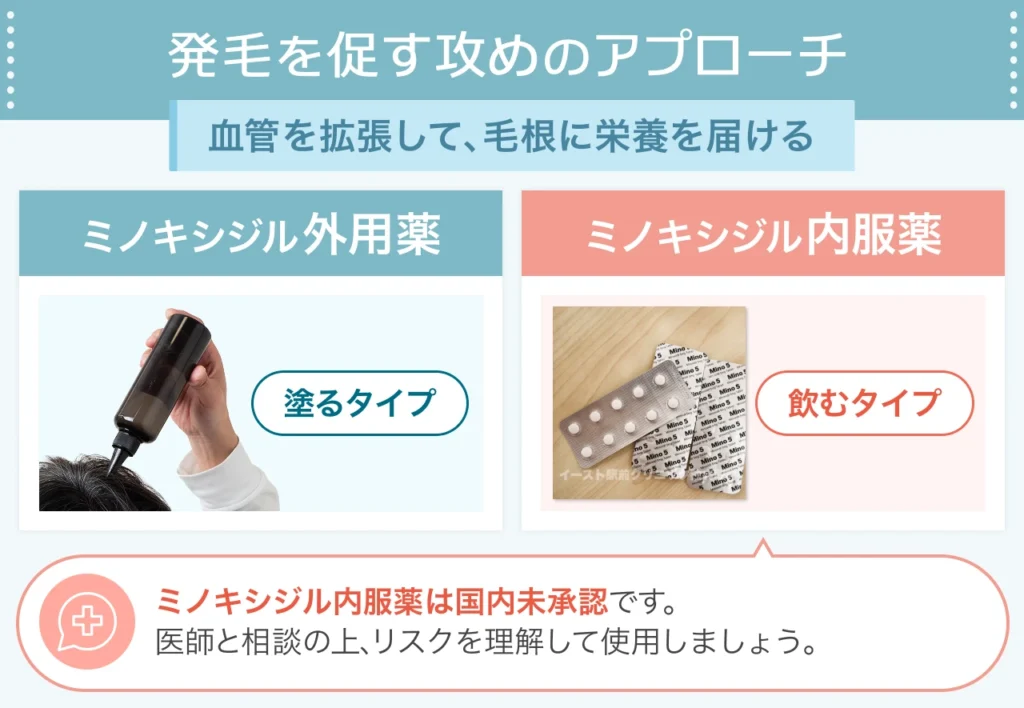 ミノキシジル (外用・内服) の役割