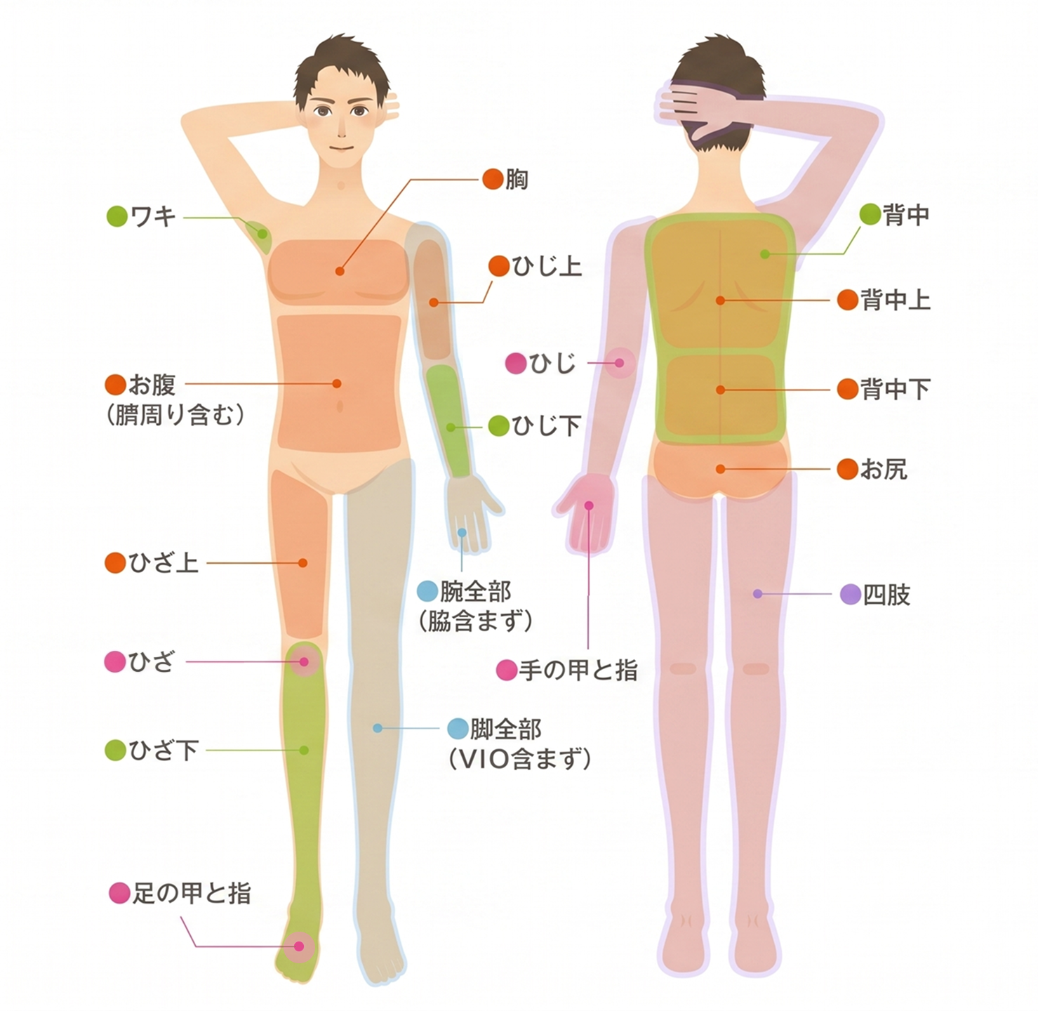 【男性】体パーツ