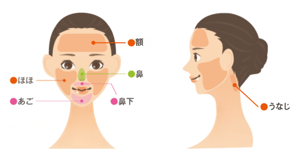 【女性】顔パーツ
