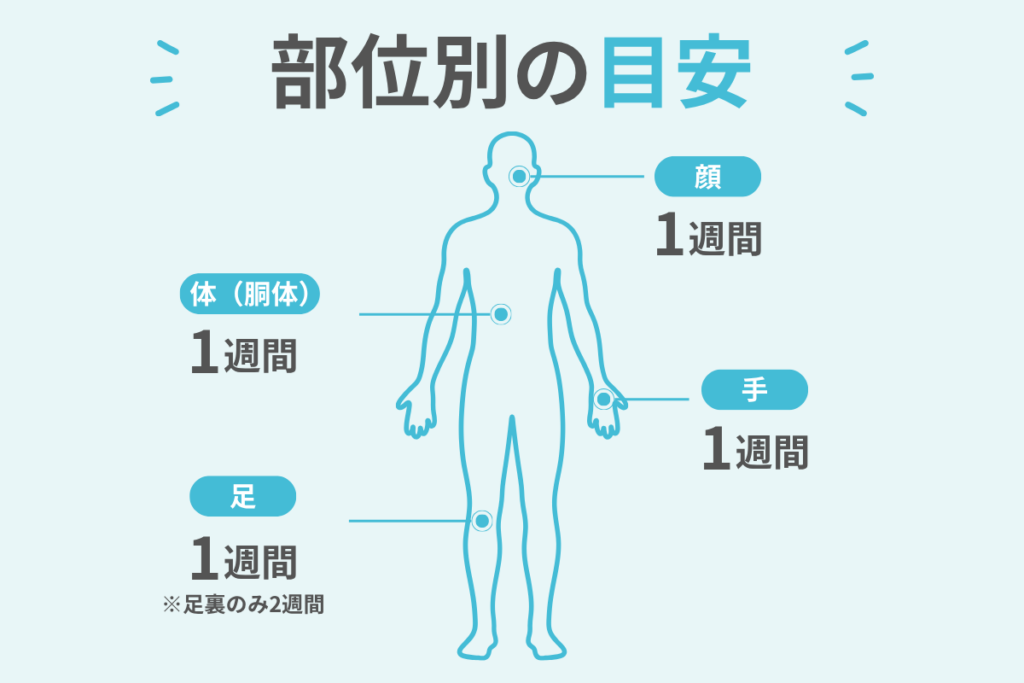 部位別・抜糸タイミングの目安【一覧表】